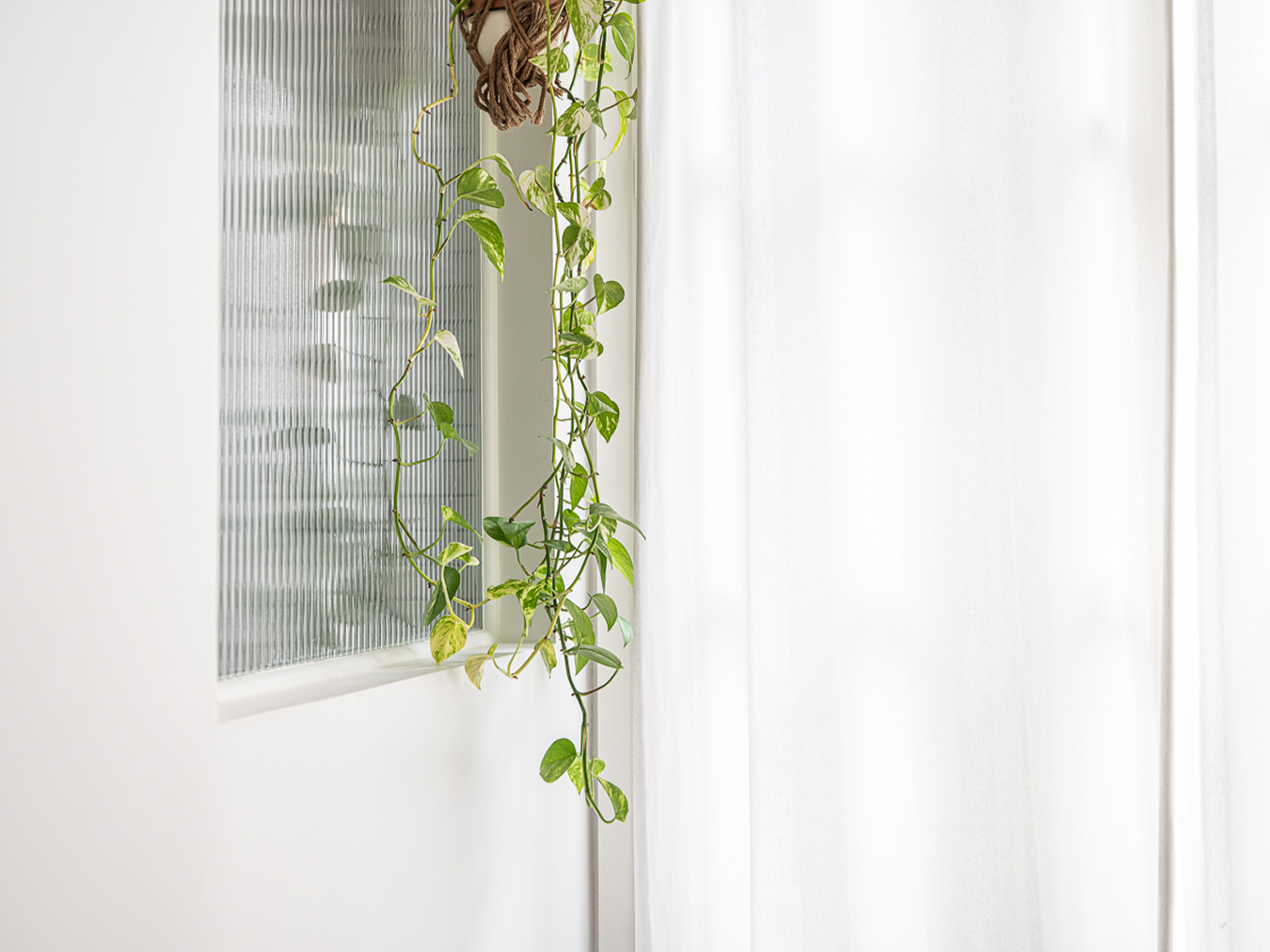 GAAM_projet-Louis-Blanc-9